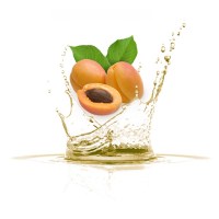 Βερικοκέλαιο